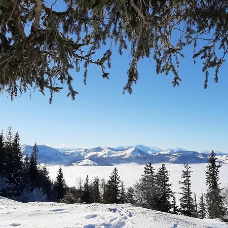 Ferienwohnung Floriani Sankt Wolfgang im Salzkammergut Bagian luar foto